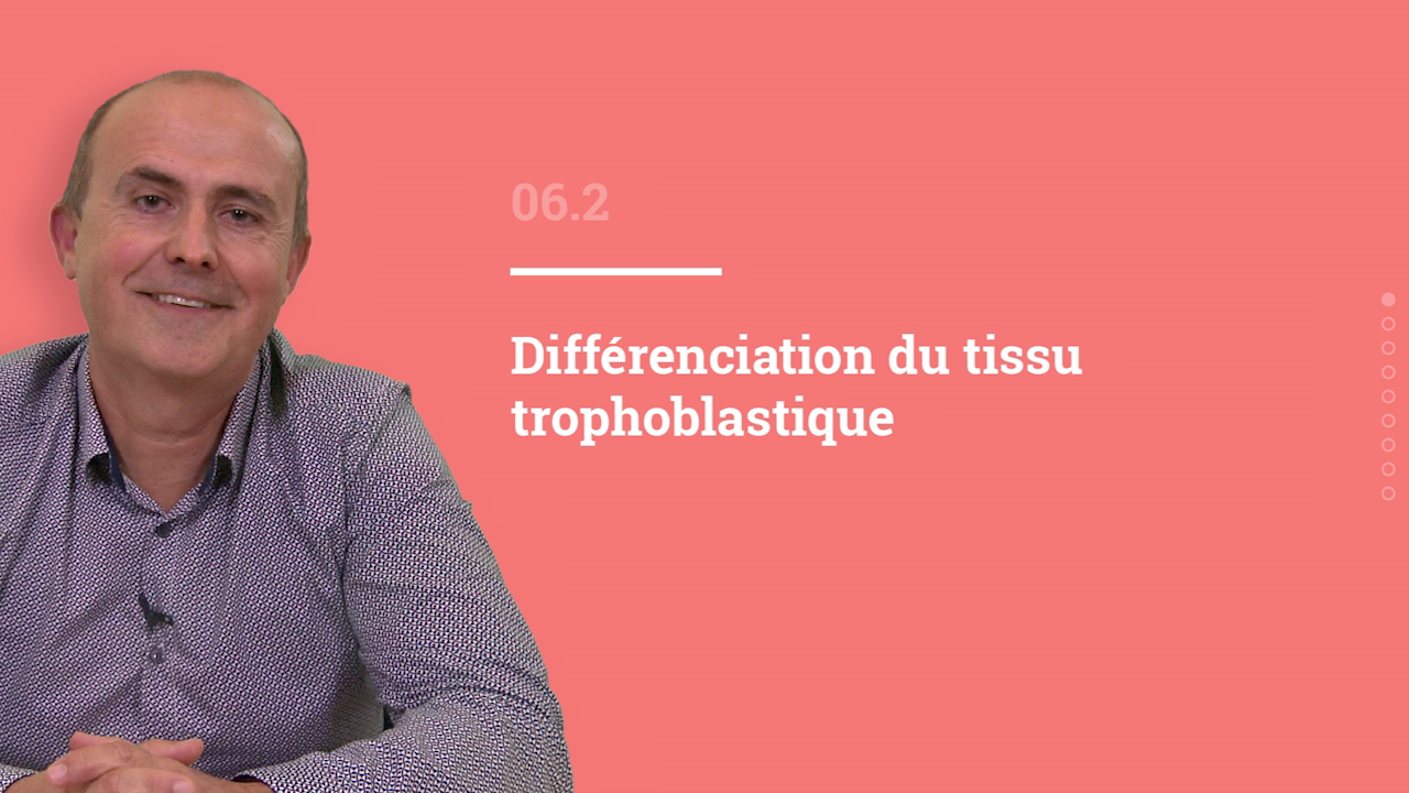 Durée : 7mn